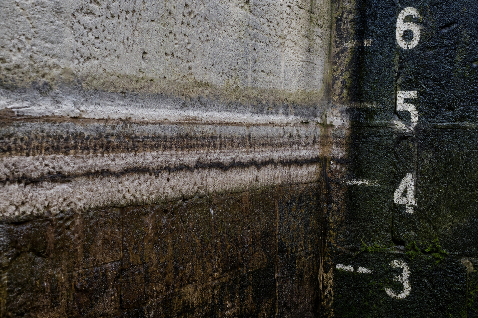 Macro waterline stains on damp limestone with painted depth-marker white